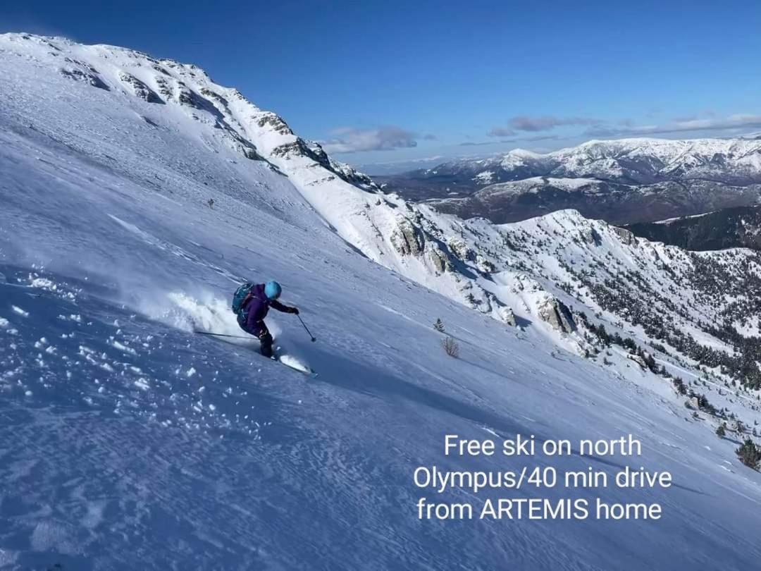 Artemis Home Pétra المظهر الخارجي الصورة